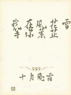 我在风花雪月里等你叶芷