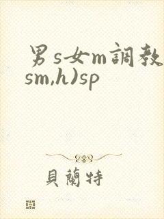 男s女m调教(sm,h)sp