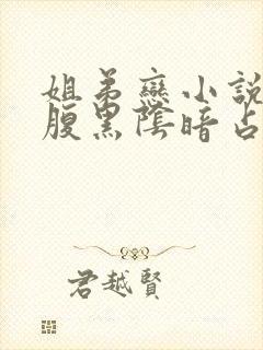 姐弟恋小说男主腹黑阴暗占有欲强现言封面