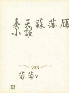 秦天苏落雁张池小说封面