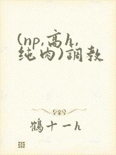(np,高h,纯肉)调教