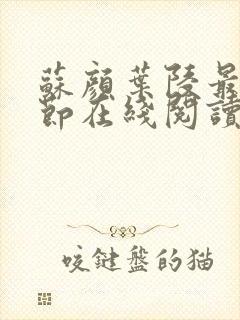 苏颜叶陵最新章节在线阅读封面