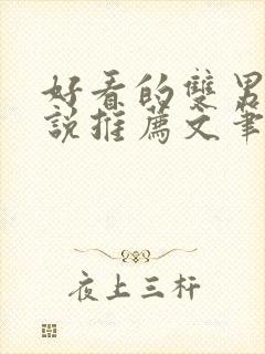 好看的双男主小说推荐文笔好封面