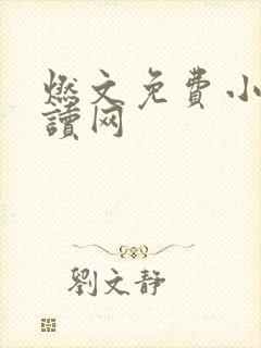 燃文免费小说阅读网