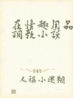 在情趣用品店被调教小说