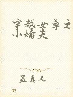 穿越女尊之独宠小娇夫封面