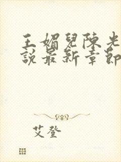 王媚儿陈光达小说最新章节更新时间封面