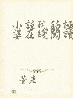 小说我的极品老婆在线阅读全文