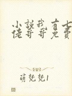 小说我有七个大佬哥哥免费下载