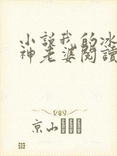 小说我的冰山女神老婆阅读