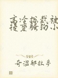 高冷总裁被催眠后变骚狗小说封面