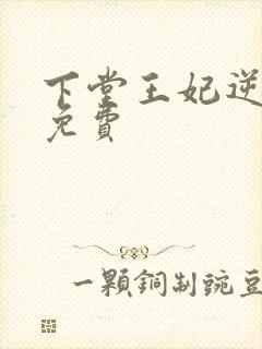 下堂王妃逆袭记免费