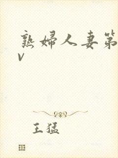 熟妇人妻第二av