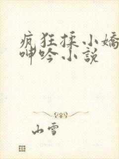 疯狂揉小娇喘声呻吟小说封面