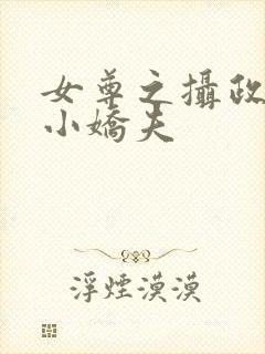 女尊之摄政王的小娇夫