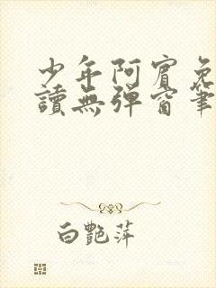 少年阿宾免费阅读无弹窗笔趣阁