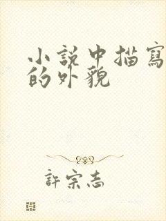 小说中描写女主的外貌