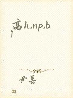 高h,np,bl