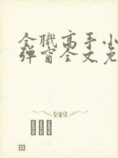 全职高手小说无弹窗全文免费阅读