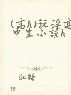 (高h)玩淫高中生小说h