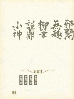 小说柳无邪吞天神鼎笔趣阁封面