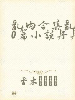 乱肉合集乱500篇小说丹丹封面