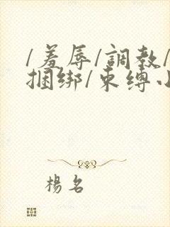 /羞辱/调教/捆绑/束缚小说