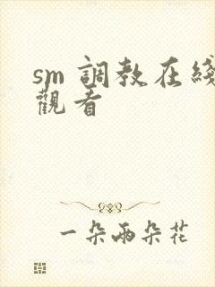 sm 调教在线观看