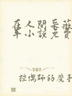 在人间采薇陆三平小说免费阅读封面