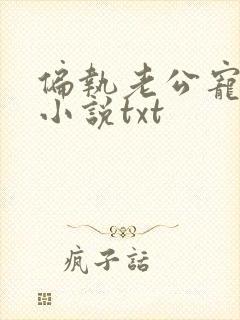 偏执老公宠上天小说txt