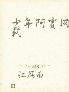 少年阿宾网盘下载封面