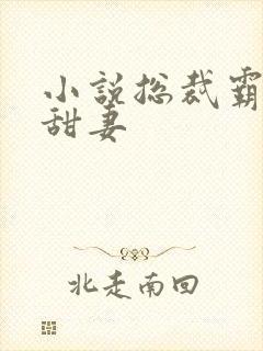 小说总裁霸宠小甜妻