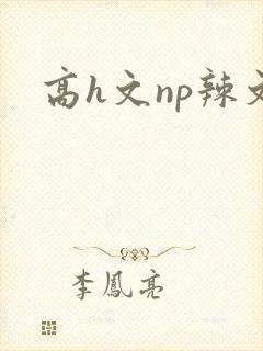 高h文np辣文