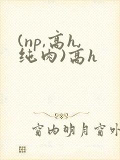 (np,高h,纯肉)高h