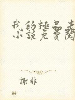 我的极品老婆 小说免费阅读