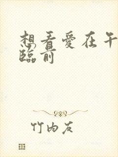 想看爱在午夜降临前