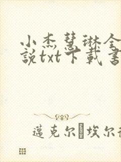 小杰慧琳全本小说txt下载书包网