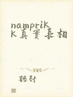namprikk真实长相