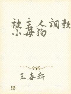 被主人调教跪趴小母狗