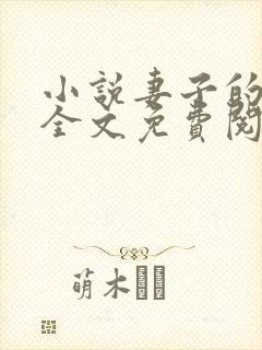 小说妻子的秘密全文免费阅读