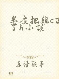 半夜把亲c高潮了h小说封面