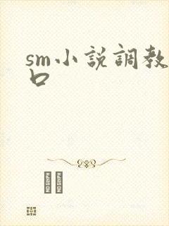 sm小说调教重口