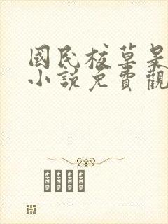 国民校草是女生小说免费观看封面