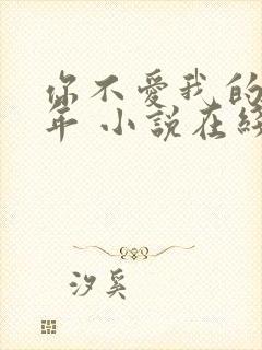 你不爱我的那些年 小说在线阅读