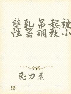 双乳吊起被各种性器调教小说