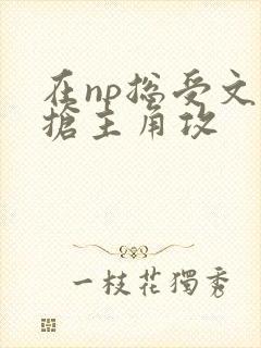 在np总受文里抢主角攻