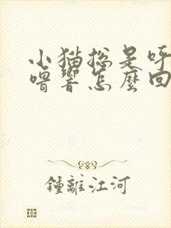 小猫总是呼噜呼噜响怎么回事