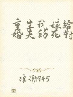 重生我嫁给了未婚夫的死对头封面