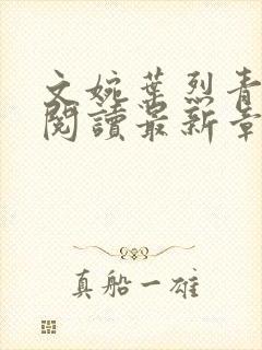 文婉叶烈青免费阅读最新章节