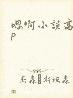 嗯啊小说高hnp封面